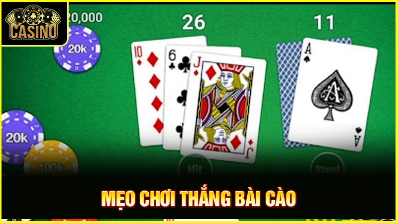 Cào rùa là gì? Kinh nghiệm đánh ăn tiền cả làng 11