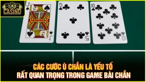 Các cước ù chắn - Phân loại và quy định quan trọng trong bài chắn 13