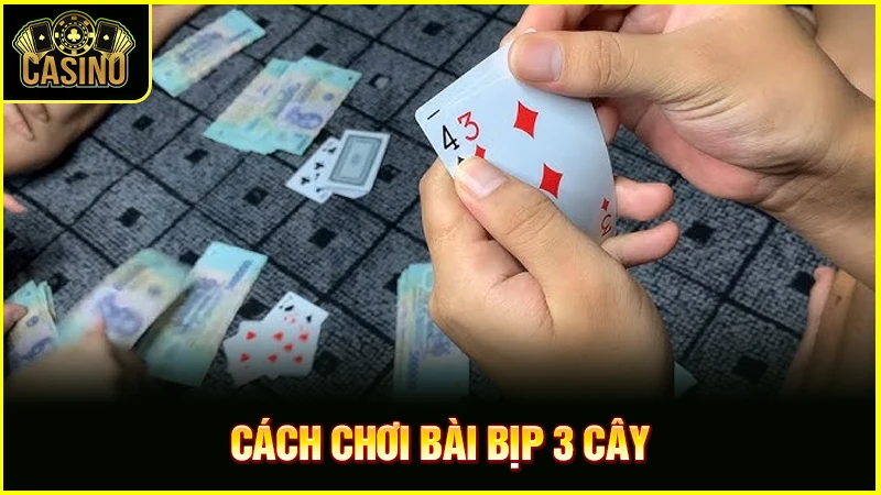 Cách chia bài 3 cây lấy điểm cao | Hướng dẫn đánh bịp 31
