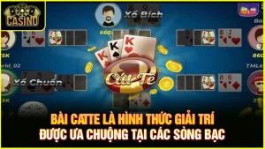 Cách đoán nước bài catte | Hướng dẫn thủ thuật chuyên nghiệp 13