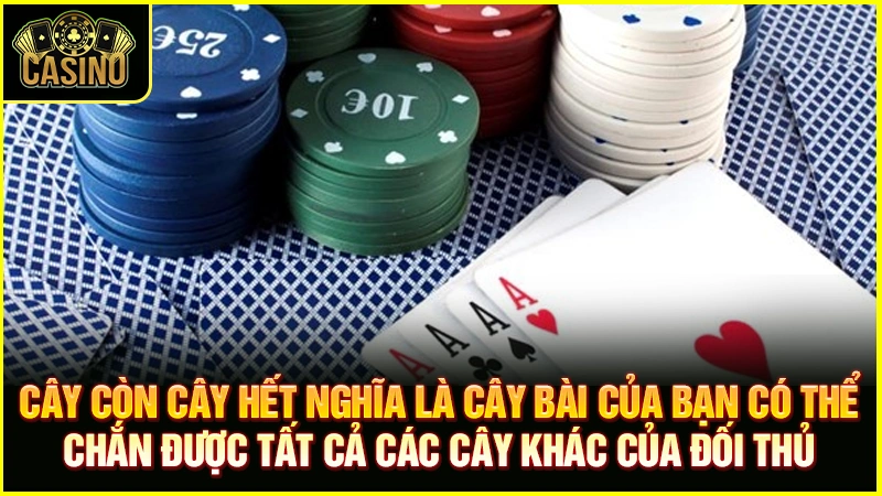 Cách tính cây còn cây hết trong chắn | Công thức đơn giản nhất 9