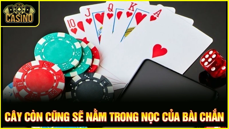 Cách tính cây còn cây hết trong chắn | Công thức đơn giản nhất 15