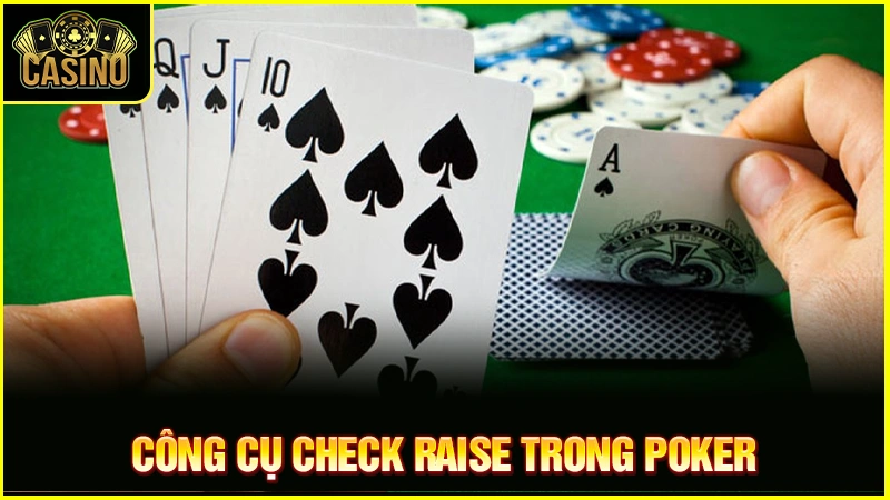 Check Raise là gì trong Poker? Vị trí & chiến thuật đánh chuẩn 19