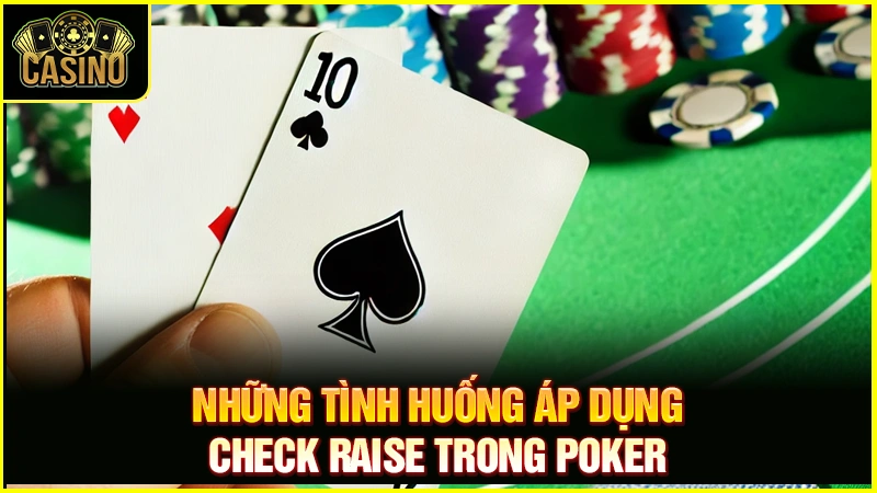 Check Raise là gì trong Poker? Vị trí & chiến thuật đánh chuẩn 11
