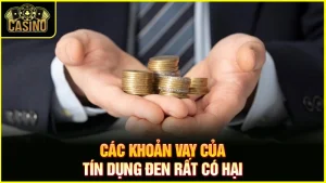 Chết vì cờ bạc online - Góc khuất casino trực tuyến 3