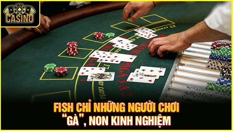 Fish trong Poker là gì? Cách nhận diện, làm gì khi gặp Fish? 25