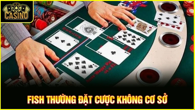 Fish trong Poker là gì? Cách nhận diện, làm gì khi gặp Fish? 11